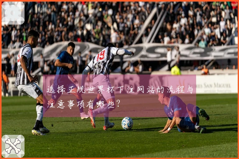 选择正规世界杯下注网站的流程与注意事项有哪些？