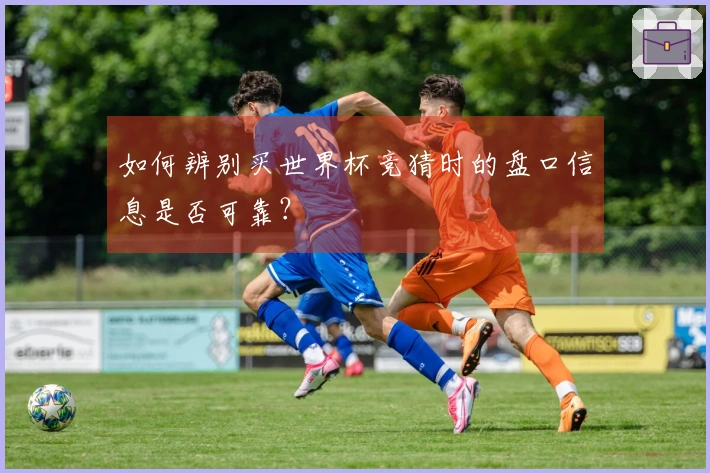 如何辨别买世界杯竞猜时的盘口信息是否可靠？